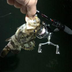 今年初釣りライトゲーム