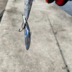 ベイトたっぷり