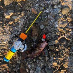 冬といえば穴釣り