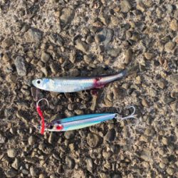 ベイトがすごい。