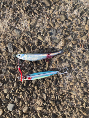 ベイトがすごい。