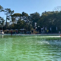 服部緑地、今日暑い。気温が・・・。