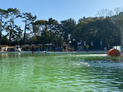 服部緑地、今日暑い。気温が・・・。