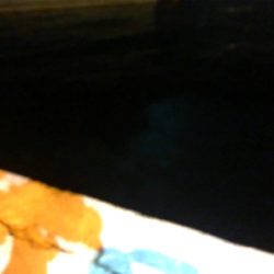 超腹パンメバル！