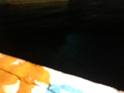 超腹パンメバル！