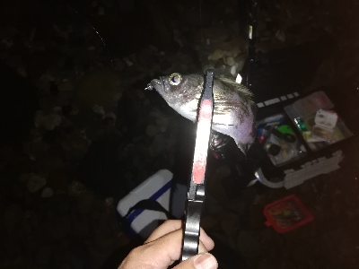 フロートメバリング