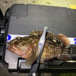 釣れない時に、時を戻そう。