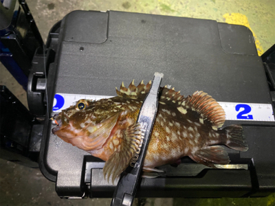 釣れない時に、時を戻そう。