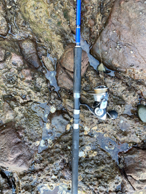 雪が降る程、寒いのにエソ釣果