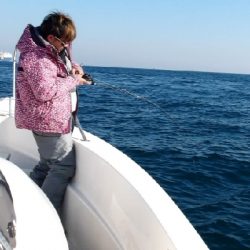 SOUTH(サウス)釣果