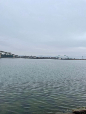 初ランカーサイズ