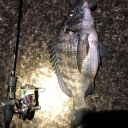 爆風メバリング