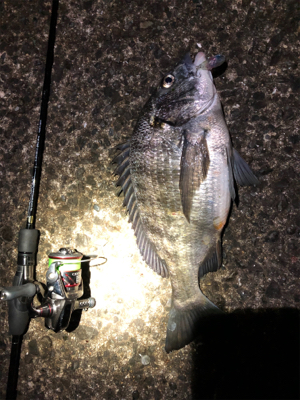 爆風メバリング