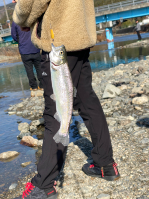 芥川トラウトフィッシング