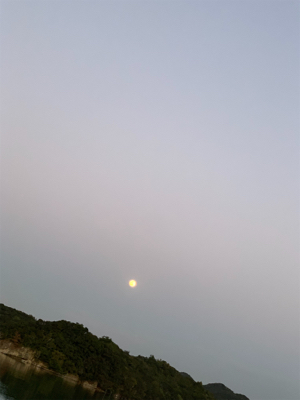 自作ルアーで一発ツモ！