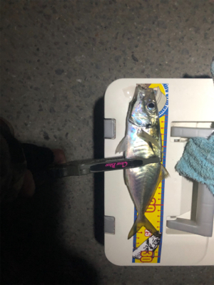 コルトux 612ウロコ付け