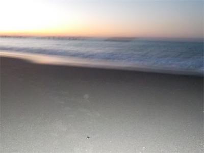 カマスです！！