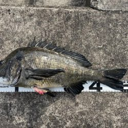 イチノ兄弟、釣果！