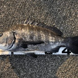 イチノ兄弟、釣果！