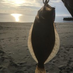 初ヒット!初ゲット!