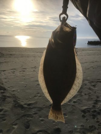 初ヒット!初ゲット!