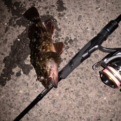 ガシリング！！