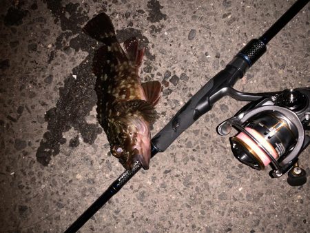 ガシリング！！