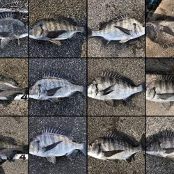 イチノ兄弟、釣果!