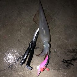 渋い感じでしたが…