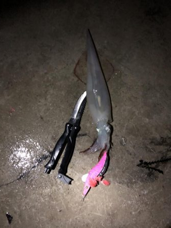 渋い感じでしたが…