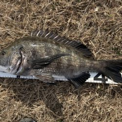 イチノ兄弟、釣果！