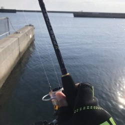 さぐり釣り。アイナメ