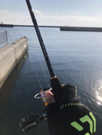 さぐり釣り。アイナメ