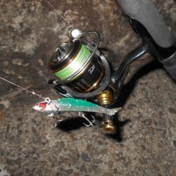 2020年ラスト釣行。