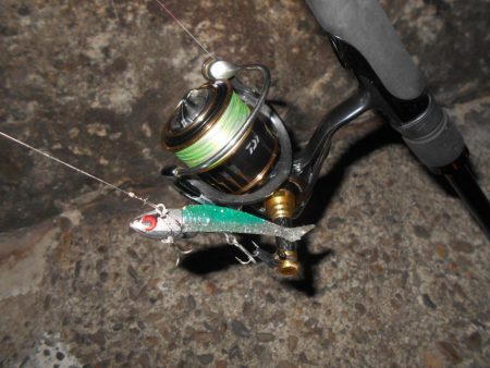 2020年ラスト釣行。