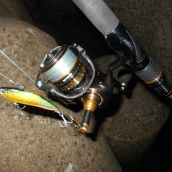 ボトムパターン開幕。