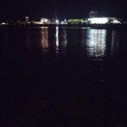 ひさびさメバリング