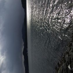 初釣果❗️サゴシ❗️