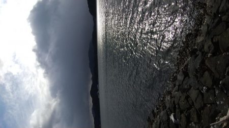 初釣果❗️サゴシ❗️