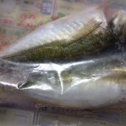 年始のフロートアジング