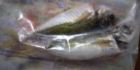 年始のフロートアジング