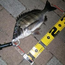 複数枚 ～さざなみ公園～