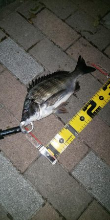 複数枚 ～さざなみ公園～