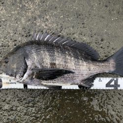 イチノ兄弟、釣果!