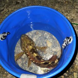 仕事終わりのライトゲーム