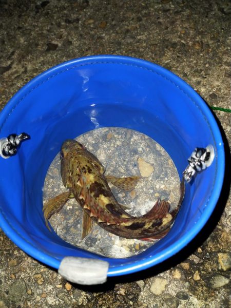 仕事終わりのライトゲーム