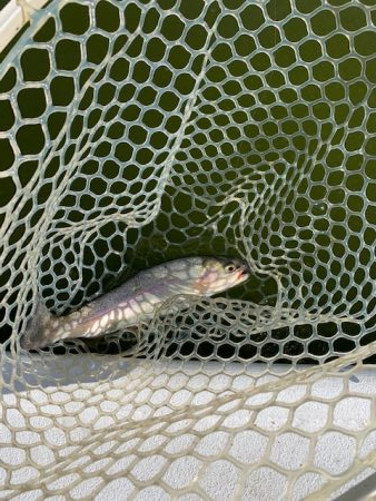 岸和田フィッシングパーク