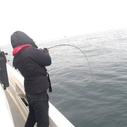 遊漁船SOUTH(サウス)釣果