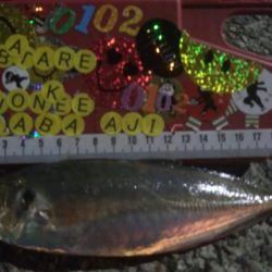 釣りデビュー 45日目