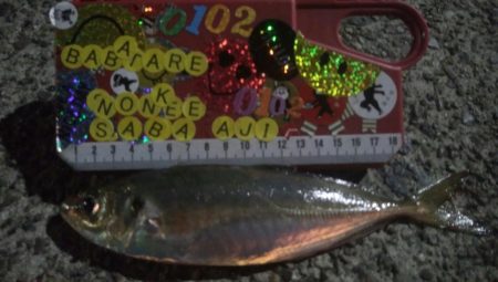 釣りデビュー 45日目